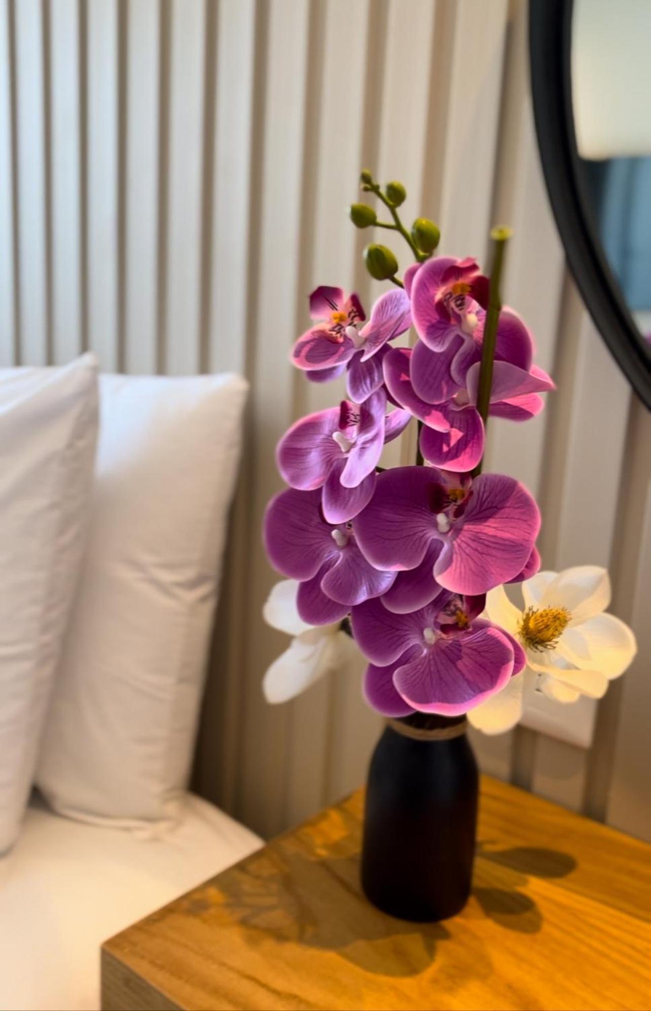 Coralia Boutique Hotel Cozumel Bagian luar foto